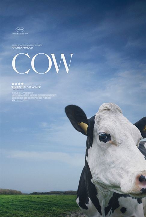 Cow : Kinoposter