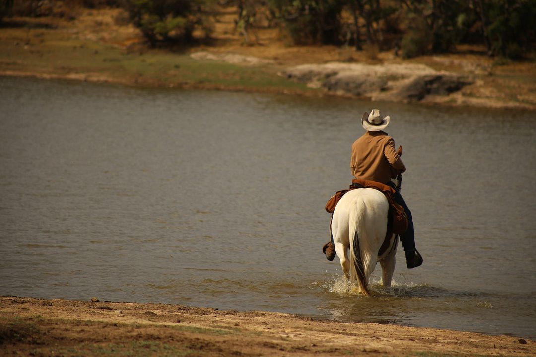 No Man's Land - Crossing the Line : Bild