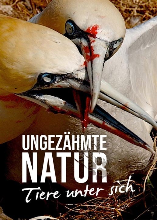 Ungezähmte Natur - Tiere unter sich : Kinoposter