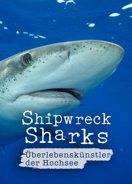 Shipwreck Sharks - Überlebenskünstler der Hochsee : Kinoposter