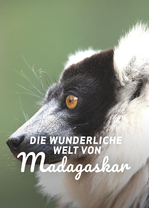 Die wunderliche Welt von Madagaskar : Kinoposter