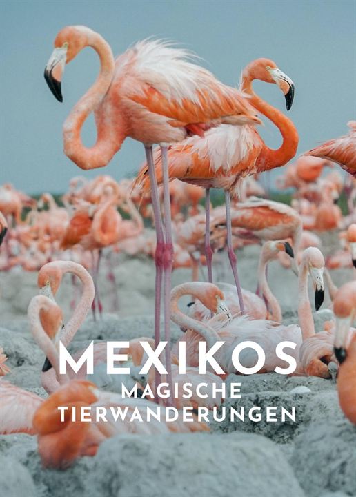 Mexikos magische Tierwanderungen : Kinoposter