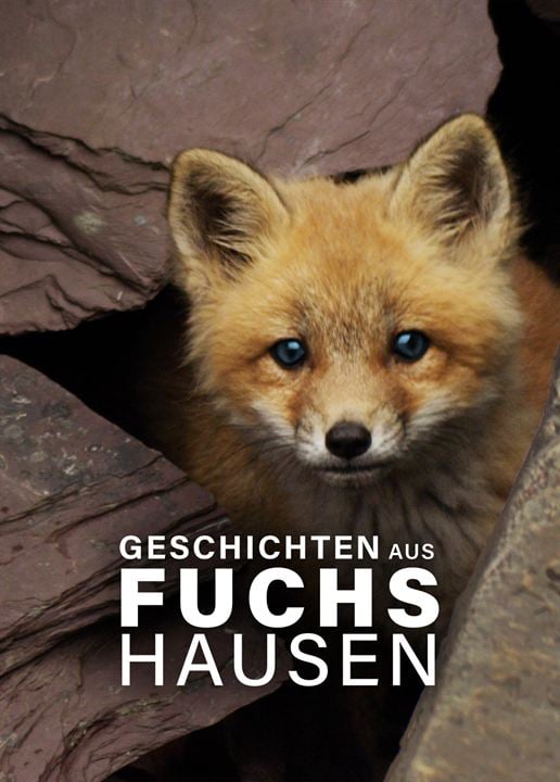 Geschichten aus Fuchshausen : Kinoposter