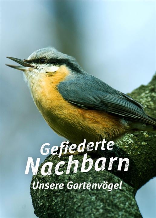 Gefiederte Nachbarn - Unsere Gartenvögel : Kinoposter