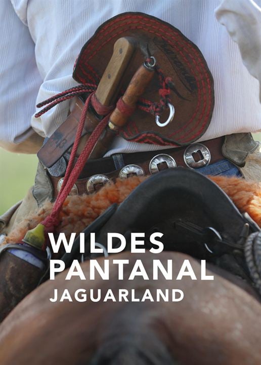 Wildes Pantanal - Jaguarland : Kinoposter