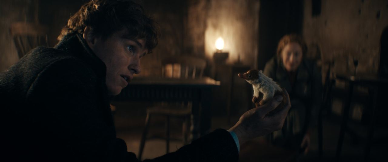 Phantastische Tierwesen 3: Dumbledores Geheimnisse : Bild Eddie Redmayne