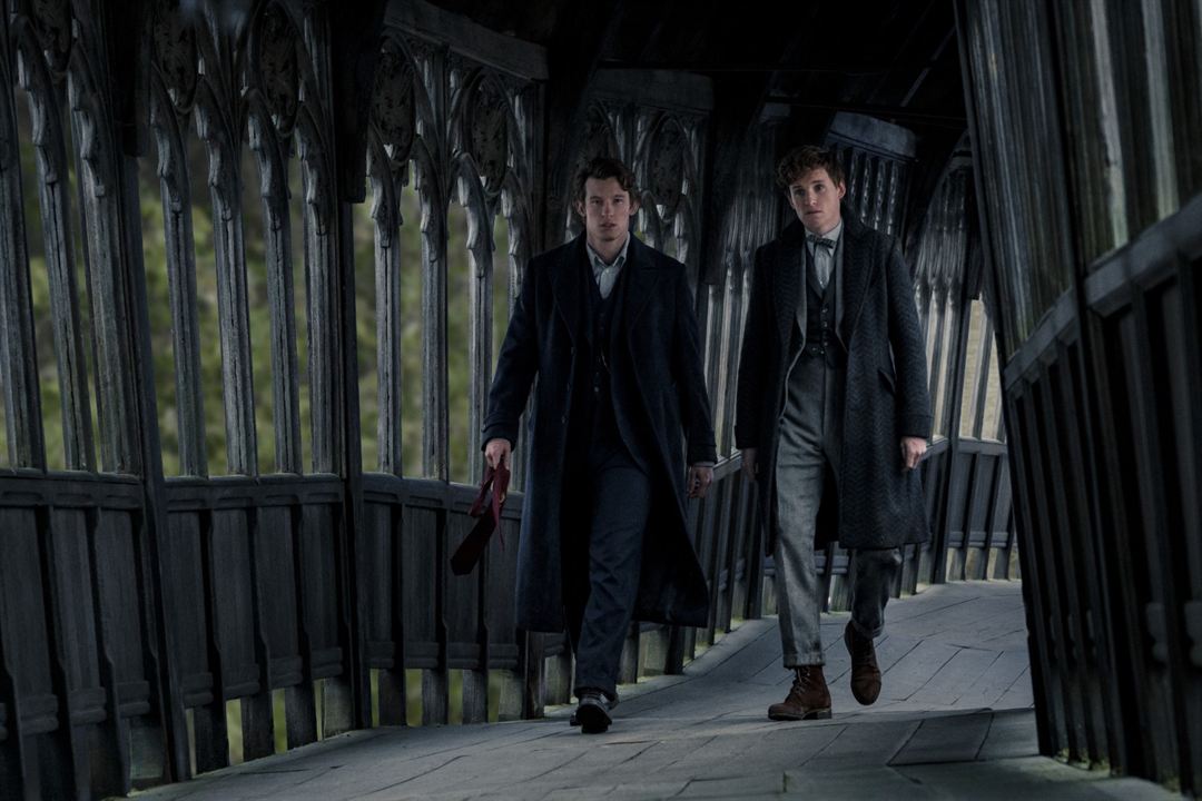 Phantastische Tierwesen 3: Dumbledores Geheimnisse : Bild Eddie Redmayne, Callum Turner