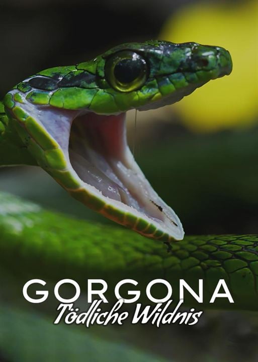 Gorgona - Tödliche Wildnis : Kinoposter