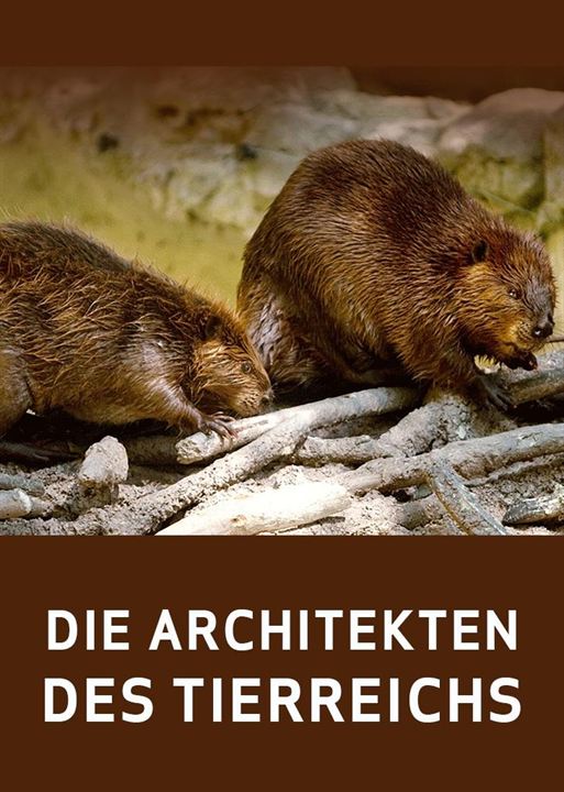 Die Architekten des Tierreichs : Kinoposter