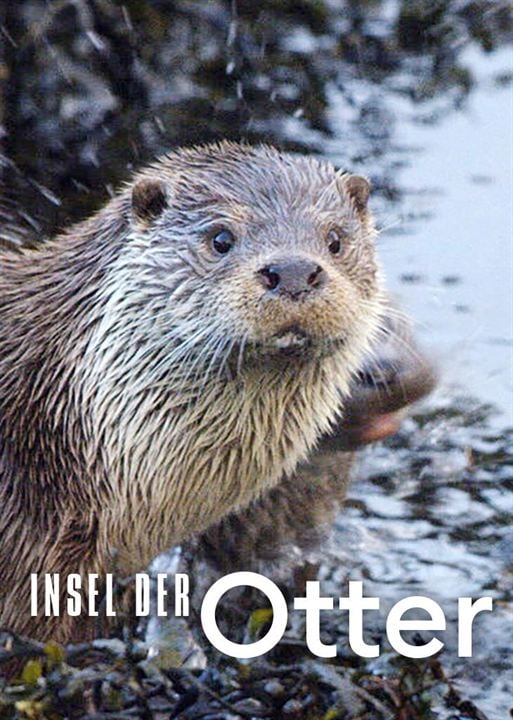 Insel der Otter : Kinoposter