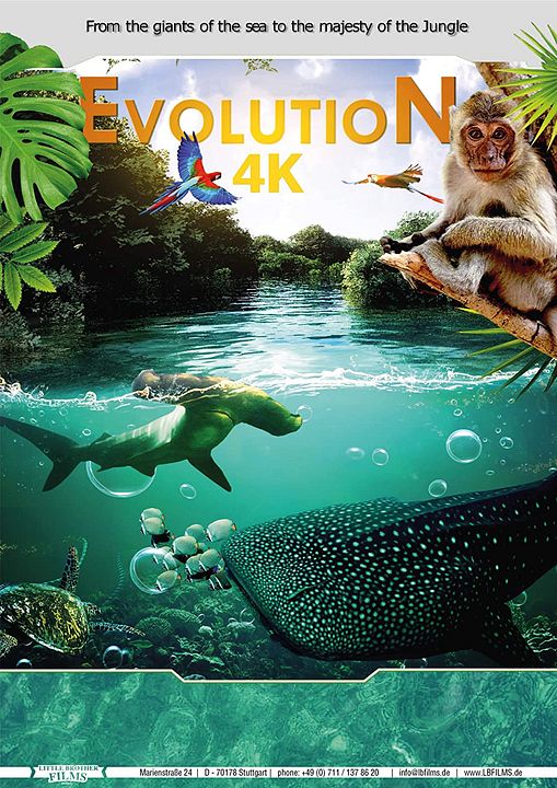 Evolution 4K : Kinoposter