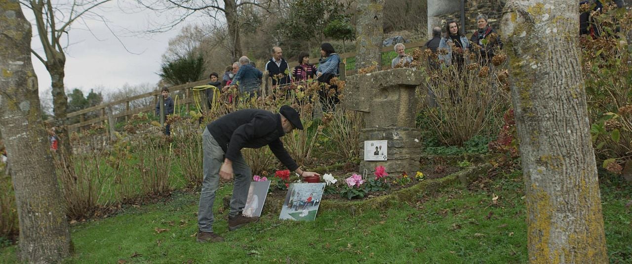 Story of a Steering Wheel : Bild