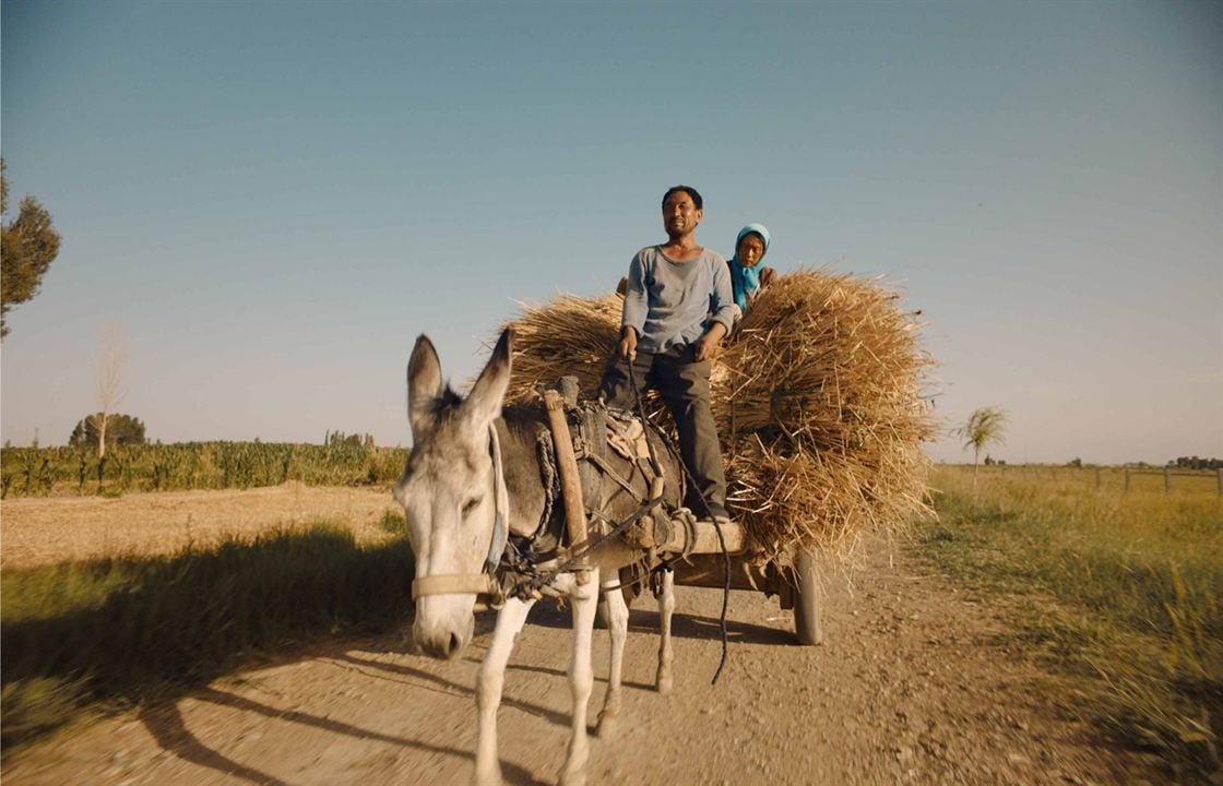 Return To Dust : Bild Hai-Qing, Wu Renlin