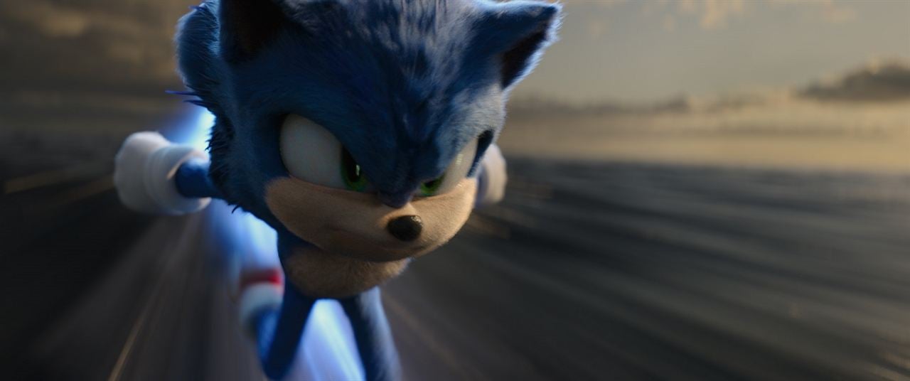 Sonic The Hedgehog 2 : Bild