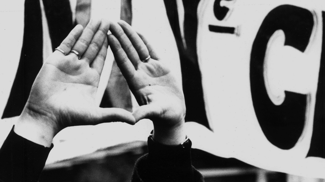 El Entusiasmo : Bild