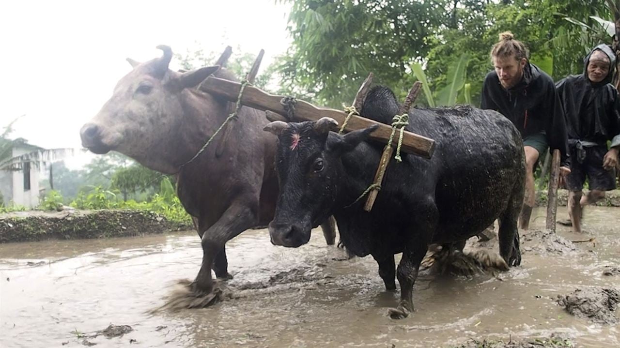 Namaste Himalaya - Wie ein Dorf in Nepal uns die Welt öffnete : Bild