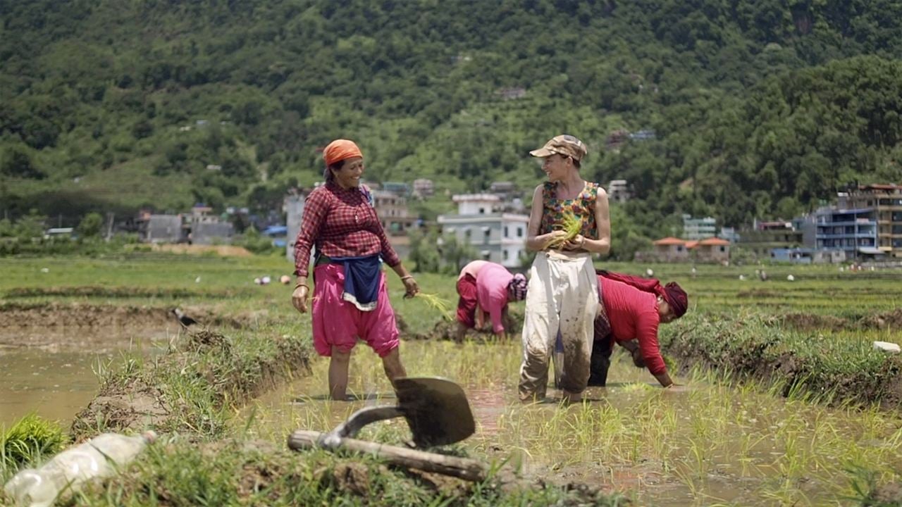 Namaste Himalaya - Wie ein Dorf in Nepal uns die Welt öffnete : Bild