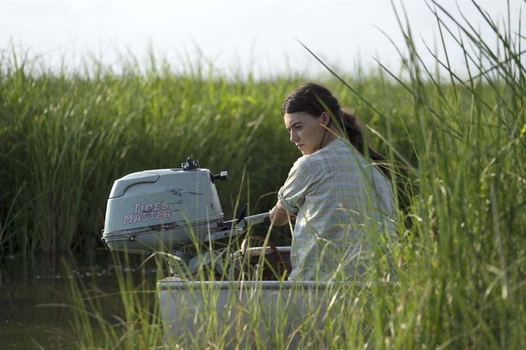 Der Gesang der Flusskrebse : Bild Daisy Edgar-Jones