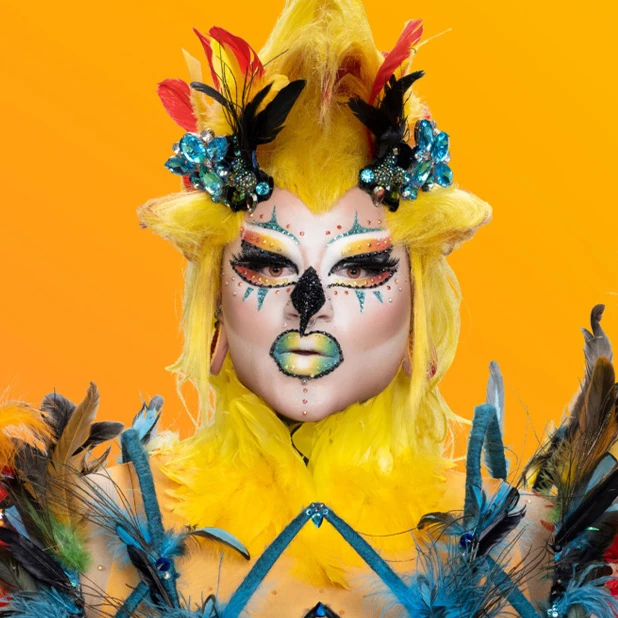 Vignette (magazine) Kaos