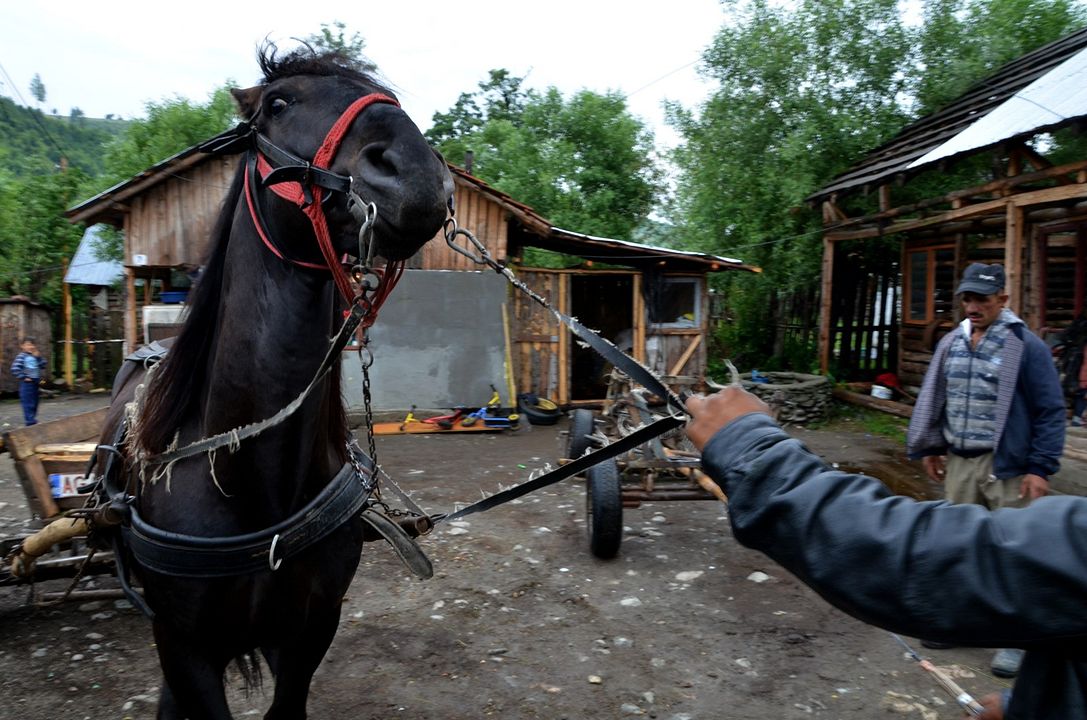 Europa Passage : Bild