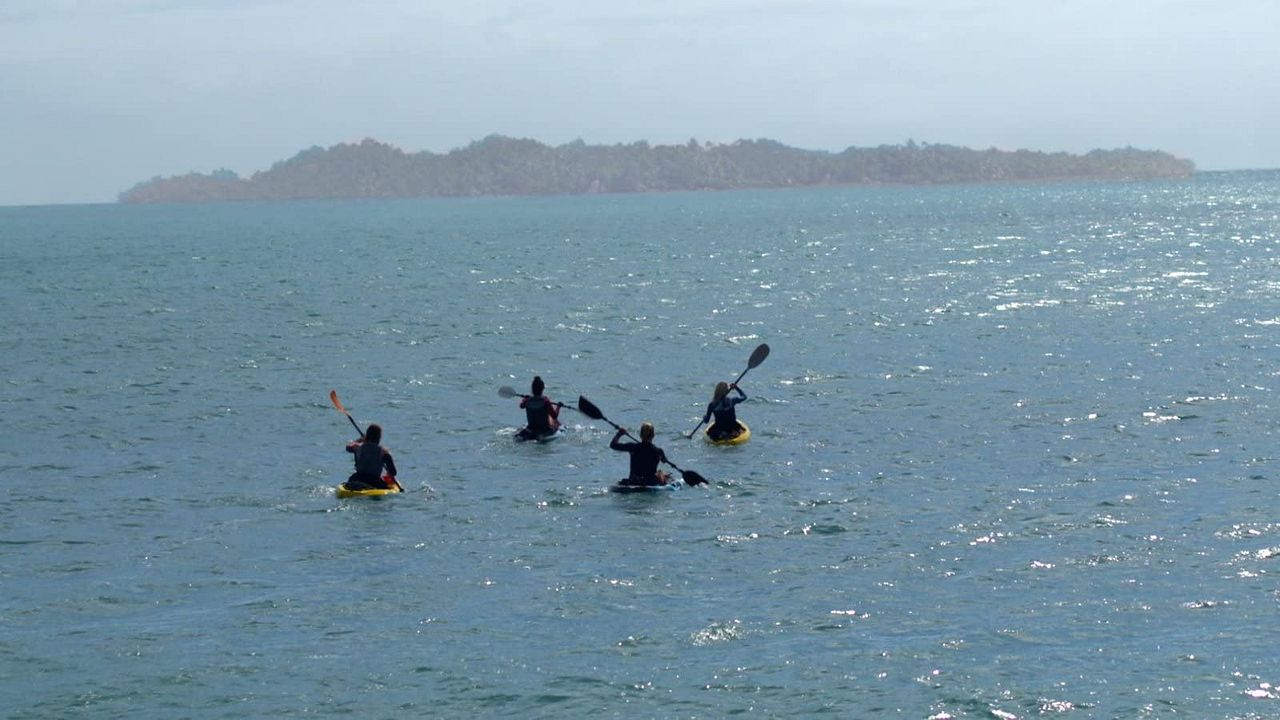 The Reef 2: Stalked : Bild