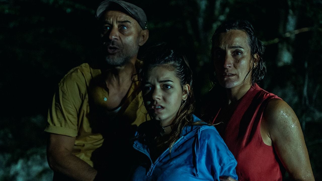 The Passenger : Bild