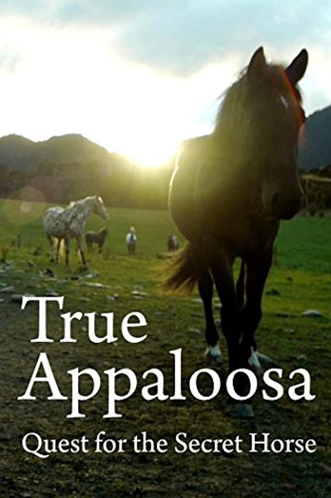 True Appaloosa : Kinoposter