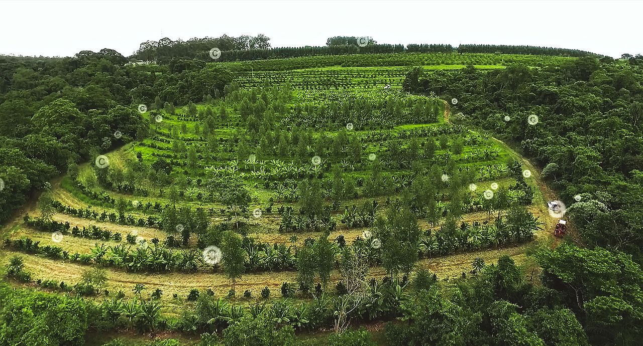 Kiss The Ground : Bild