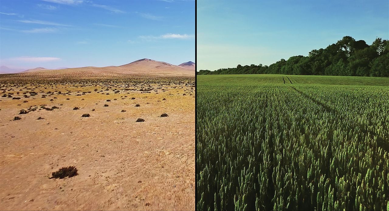 Kiss The Ground : Bild