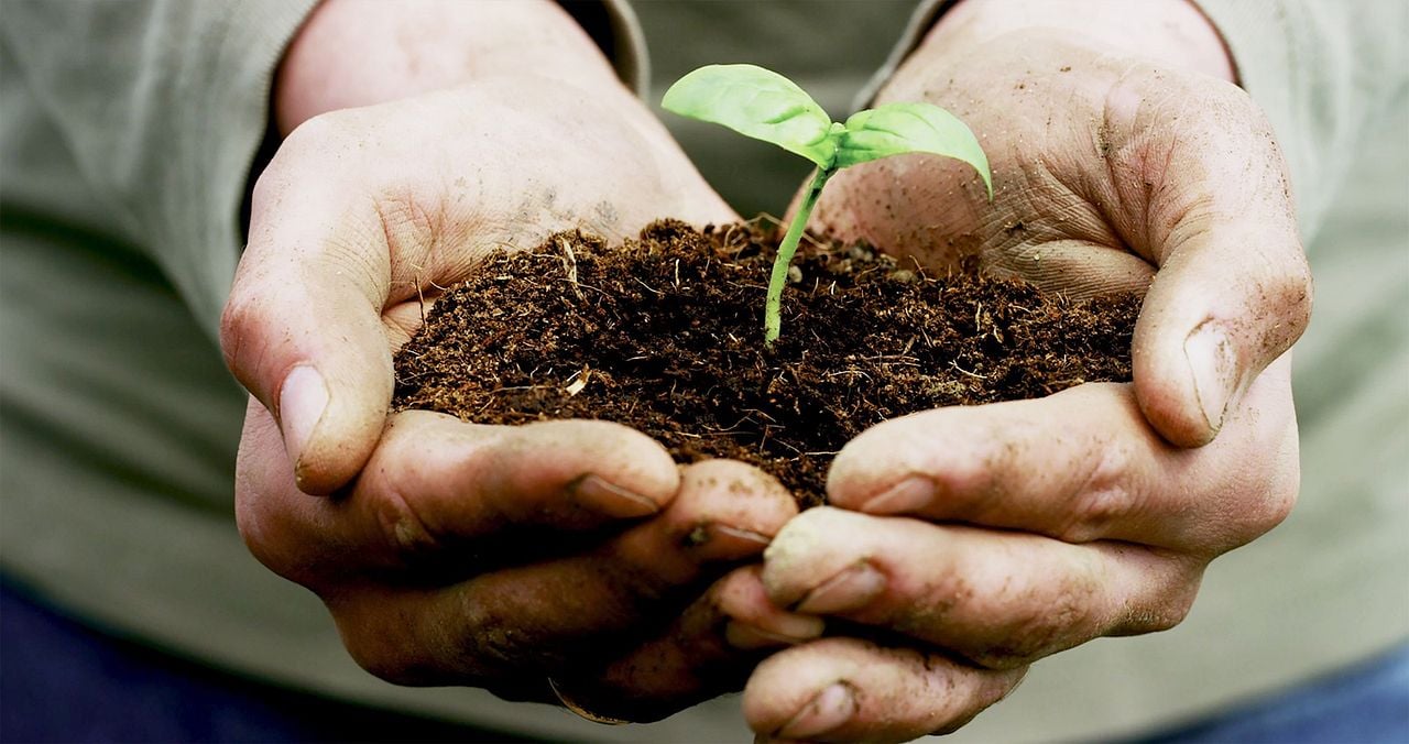 Kiss The Ground : Bild