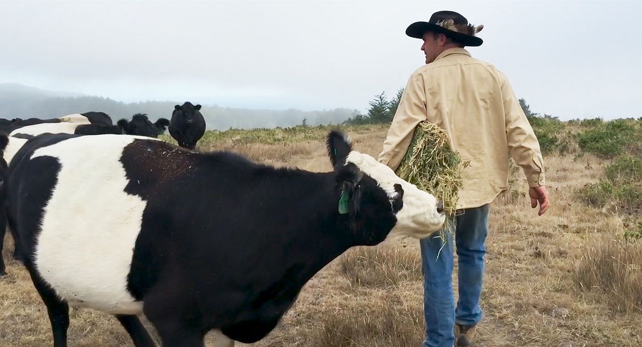 Kiss The Ground : Bild