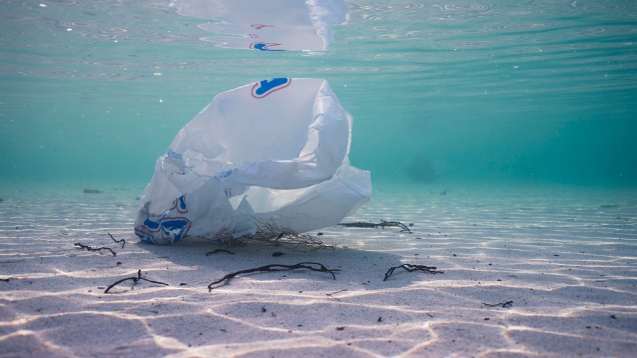 The North Drift - Plastik in Strömen : Bild