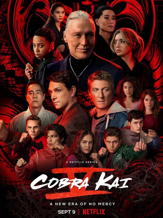 Cobra Kai : Kinoposter