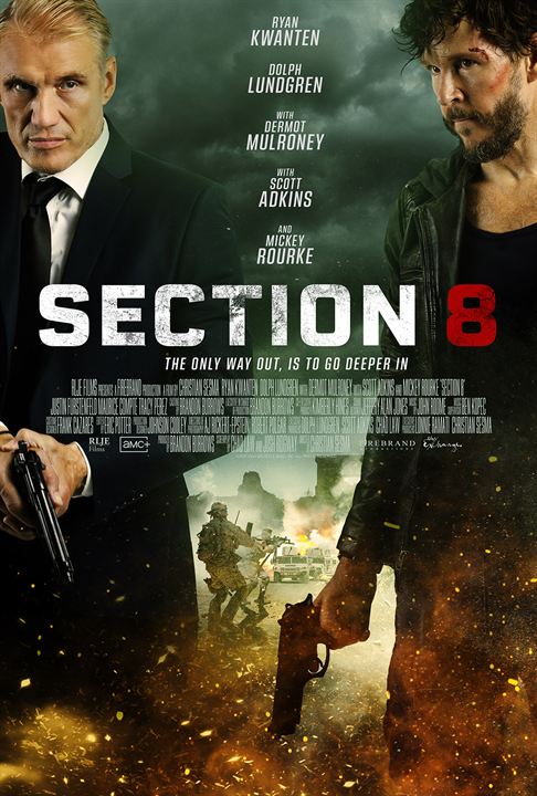 Section 8 : Kinoposter