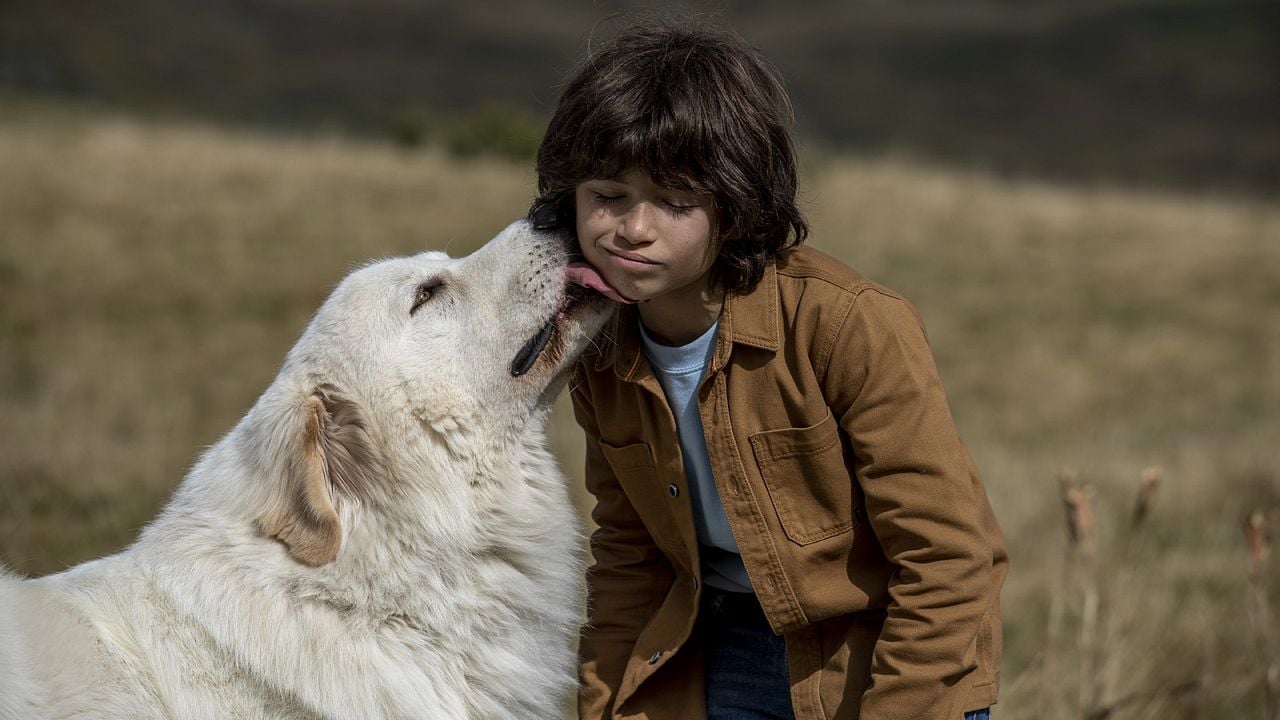 Belle & Sebastian - Ein Sommer voller Abenteuer : Bild Robinson Mensah-Rouanet