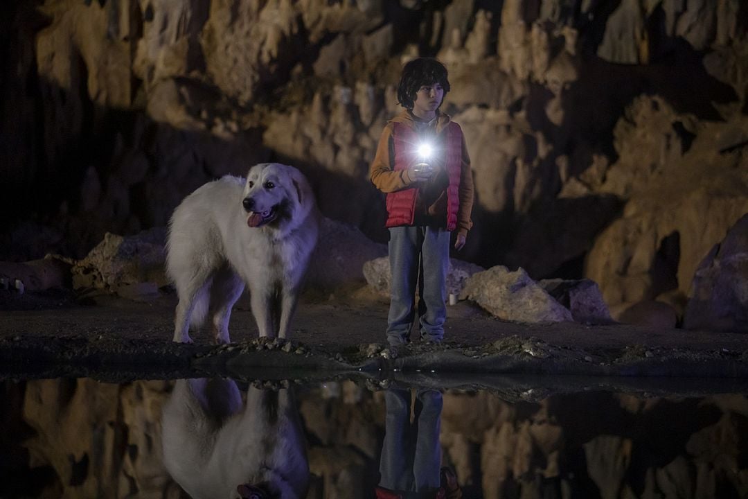 Belle & Sebastian - Ein Sommer voller Abenteuer : Bild Robinson Mensah-Rouanet