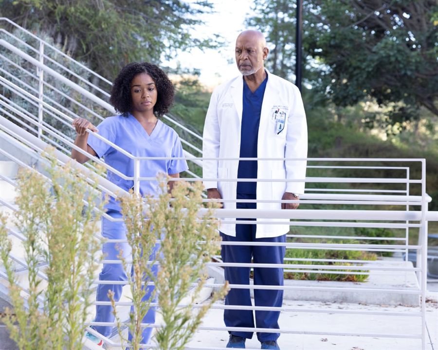 Grey's Anatomy - Die jungen Ärzte : Bild James Pickens Jr., Alexis Floyd