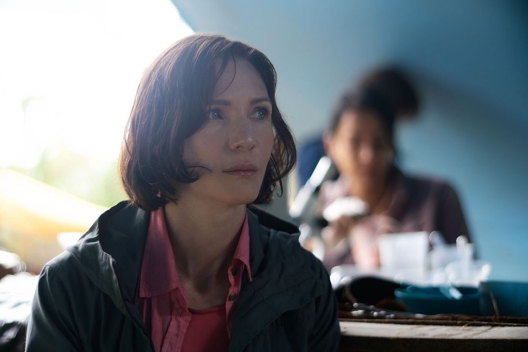 Bild Jessica Collins