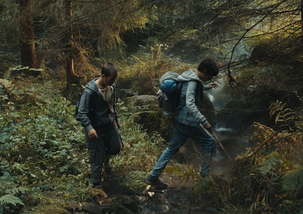 Nachtwald - Das Abenteuer beginnt! : Bild Jonas Oeßel, Levi Eisenblätter