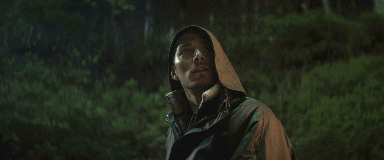 Schweigend steht der Wald : Bild