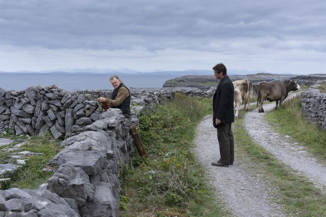 The Banshees Of Inisherin : Bild Brendan Gleeson, Colin Farrell