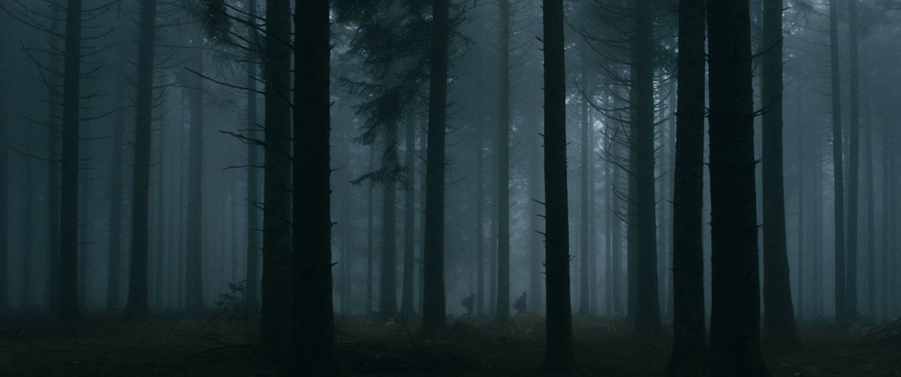 Le Coeur noir des forêts : Bild