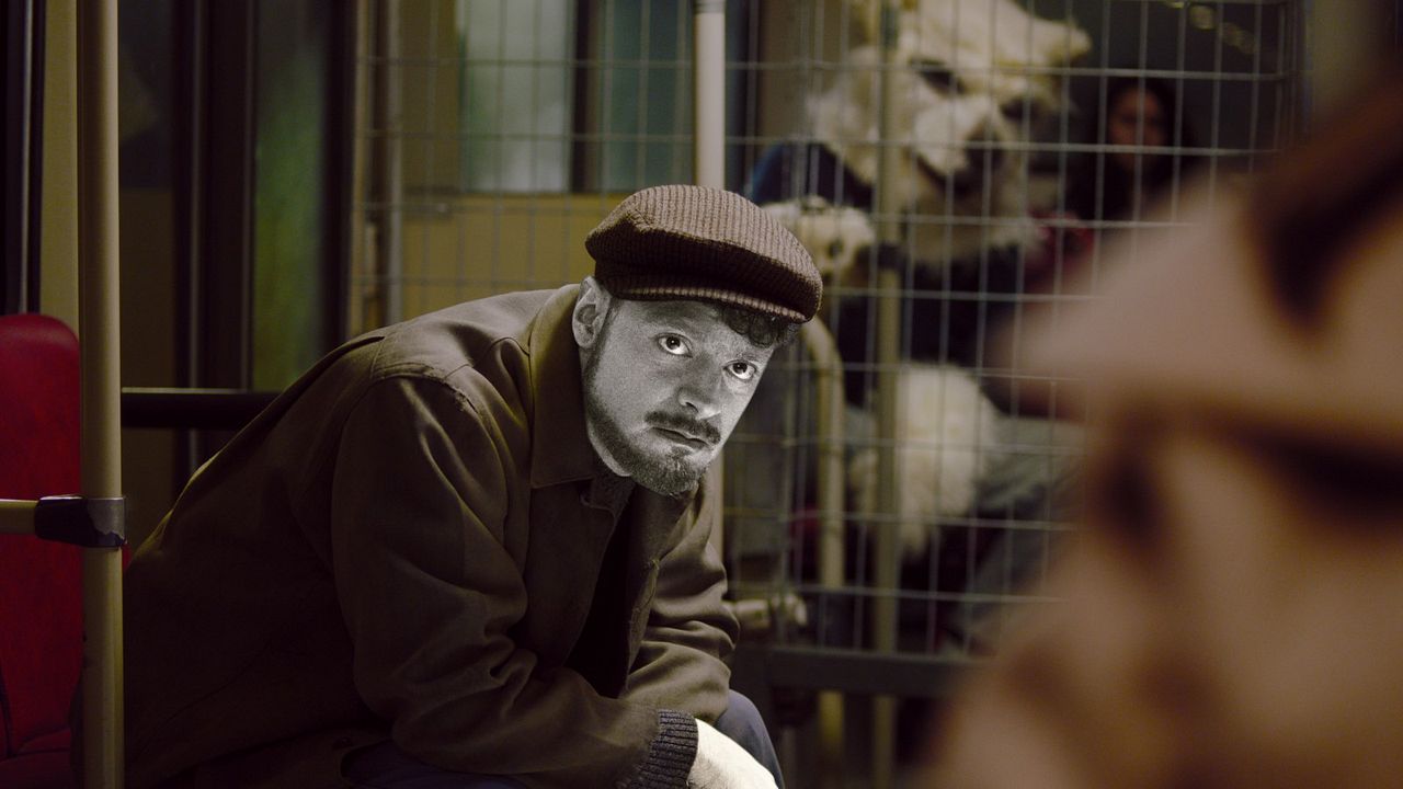 The Ordinaries : Bild