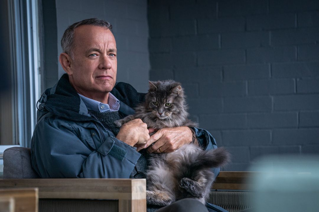 Ein Mann namens Otto : Bild Tom Hanks