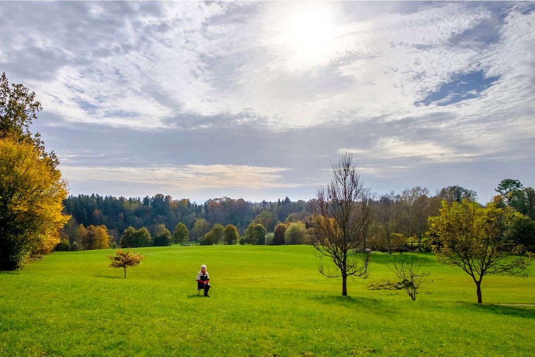 ... wie dich selbst? : Bild