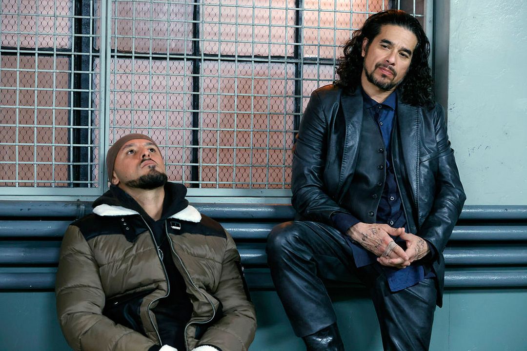 Law & Order: Organized Crime : Bild