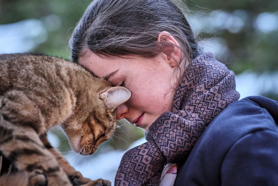 Lou - Abenteuer auf Samtpfoten : Bild Capucine Sainson-Fabresse