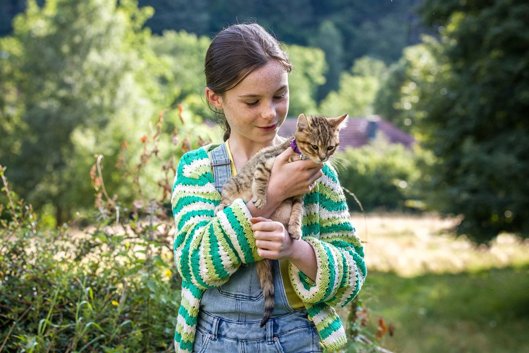 Lou - Abenteuer auf Samtpfoten : Bild Capucine Sainson-Fabresse