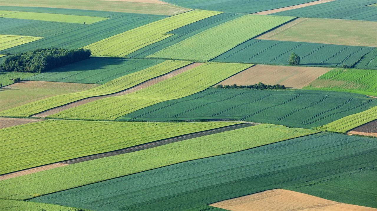 Paysans du Ciel à la Terre : Bild