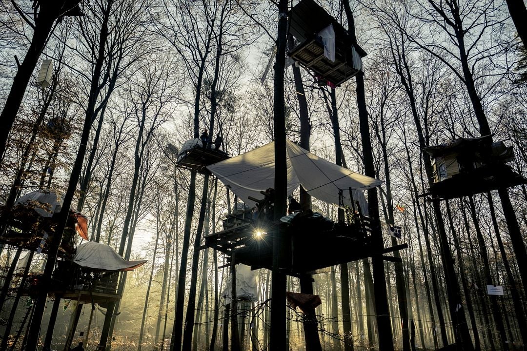 Barrikade - Bilder einer Waldbesetzung : Bild